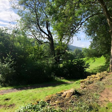 The Spring Slad Valley Cotswolds Painswick Luaran gambar