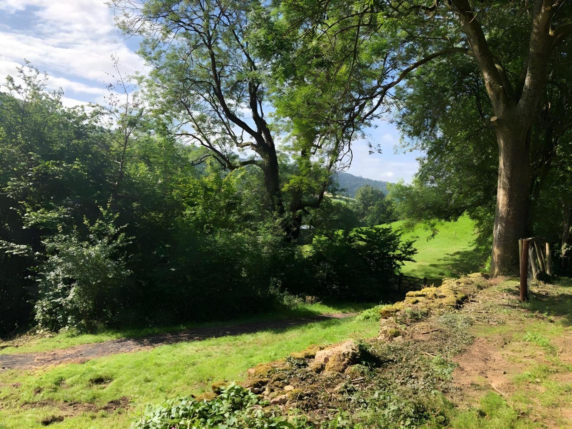 The Spring Slad Valley Cotswolds Painswick Luaran gambar