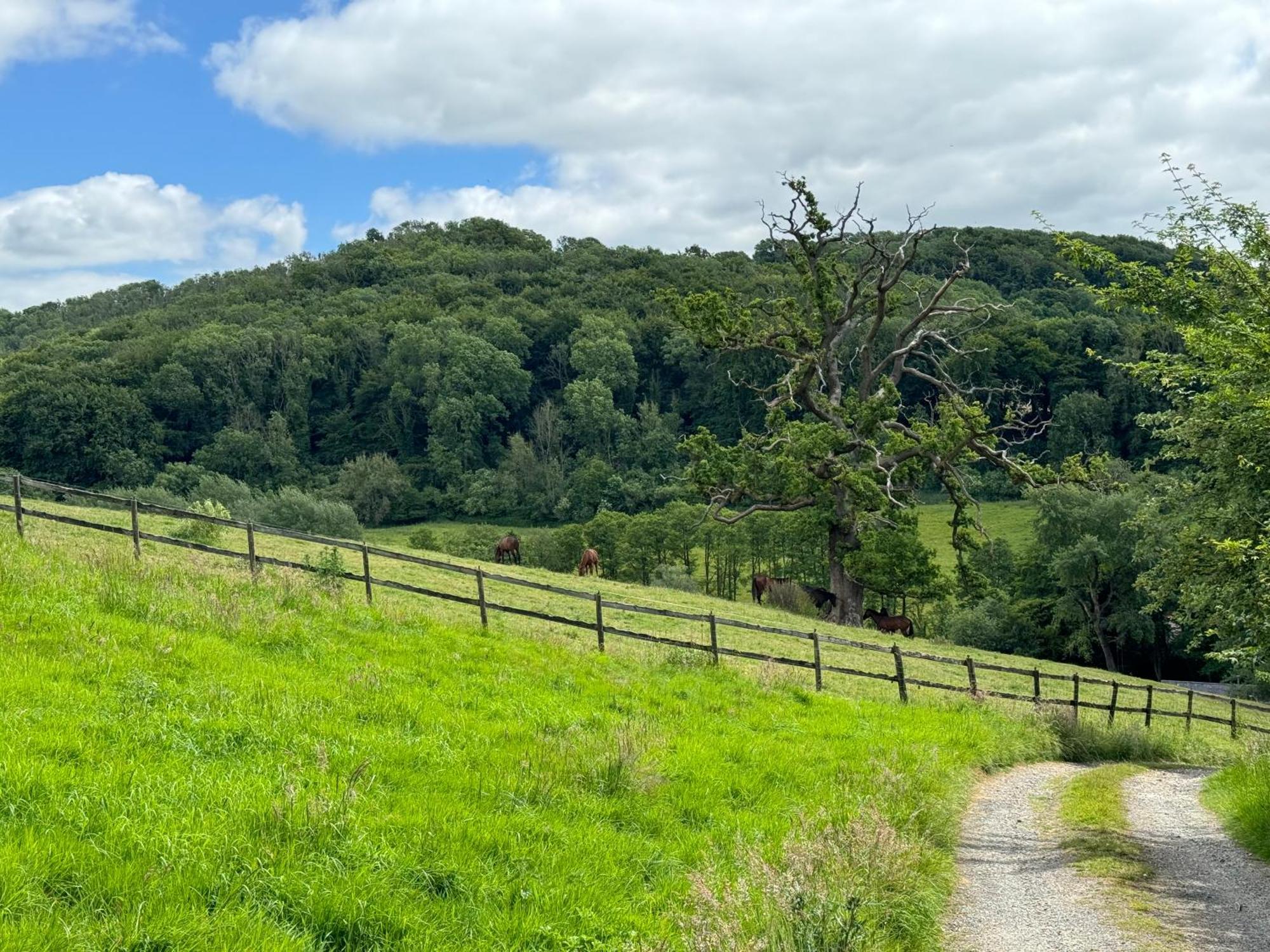 The Spring Slad Valley Cotswolds Painswick Luaran gambar
